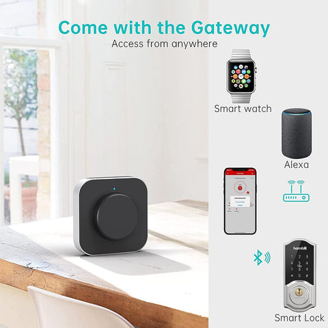 Hornbill Smart fingerprint Deadbolt lock with Keypad and wi-fi gateway