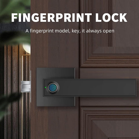 Fingerprint Entry Door Lock Smart Lock with Handle