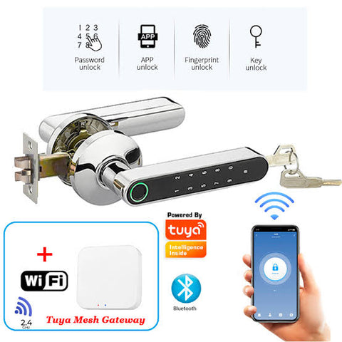 Fingerprint smart Door Lock +password +Tuya app remote + bluetooth wifi gateway