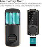 Hornbill Smart fingerprint Lock Front Door